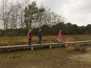 Wandeltocht 2017