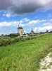 kinderdijk1