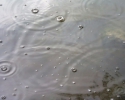 Eifel 2008 in de regen_2