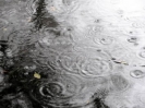 Eifel 2008 in de regen_4