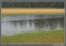 20080914_eifel